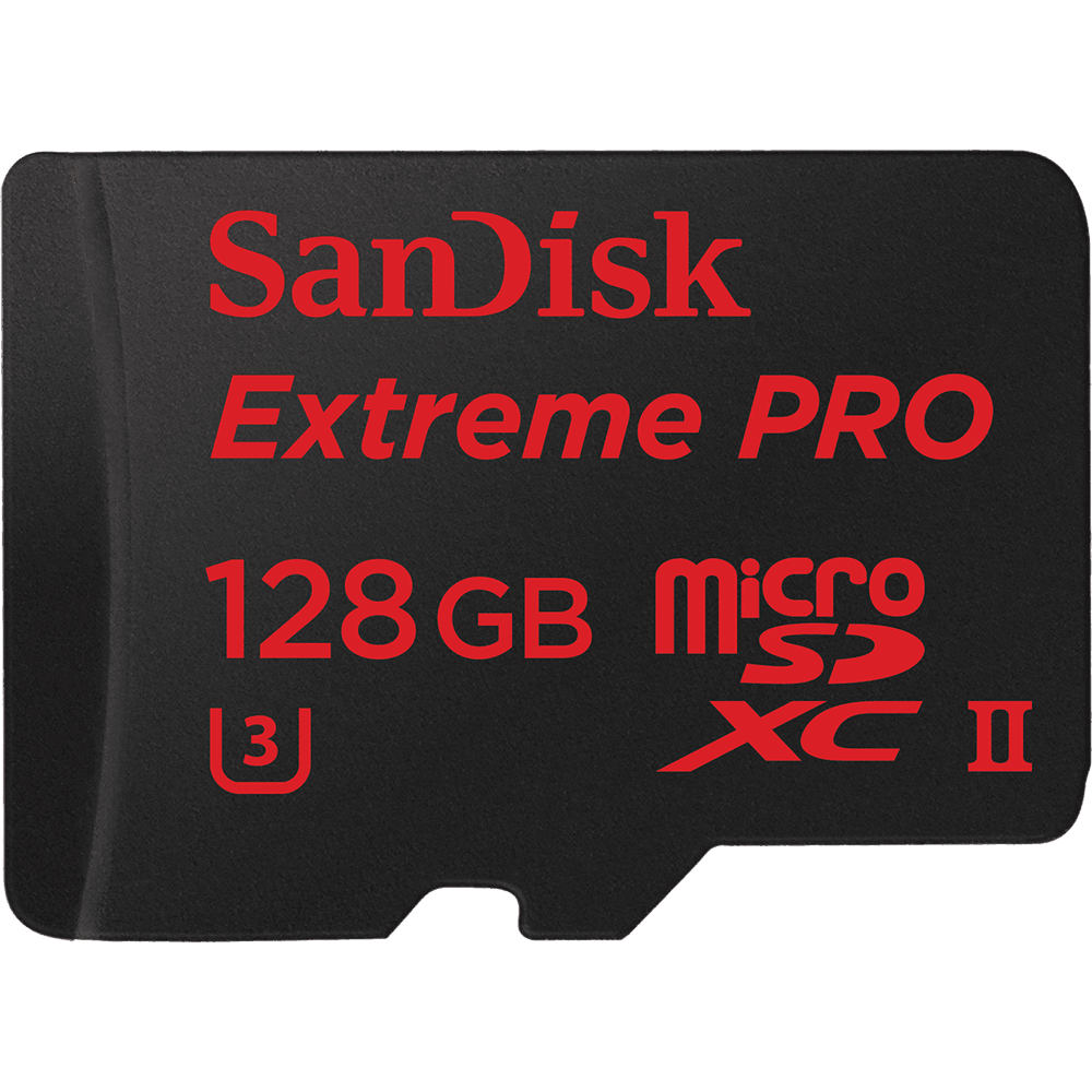 /img/ExtremePRO_microSDXC_Black_UHS-II_U3_128GB-1000x1000.png
